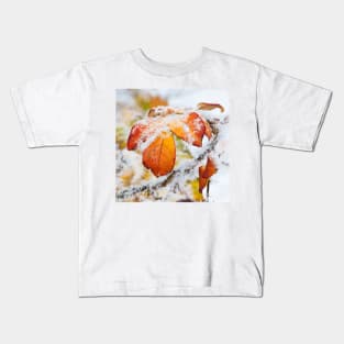 Rose bush frozen autumn color leaves Kids T-Shirt